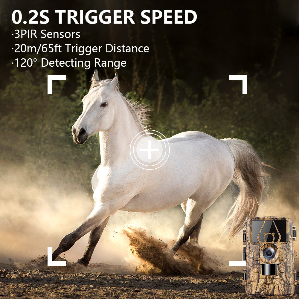 PR801 Ultra Clear 8K Infrared Wildlife Trail Camera Night Vision Hunting Camera PR801 Ultra Clear 8K Infrared Wildlife Trail Camera Night Vision Hunting Camera